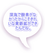深海で酸素がな かったからこそきれ いな黄鉄鉱ができ たんだね。